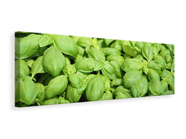 panoramic-canvas-print-all-basil