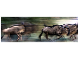 panoramic-canvas-print-great-migration