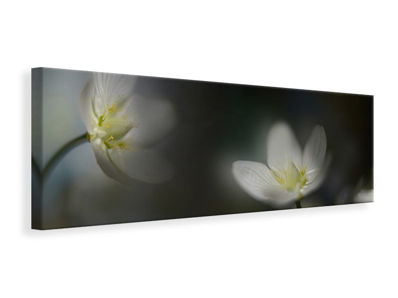 panoramic-canvas-print-light-in-the-darkness