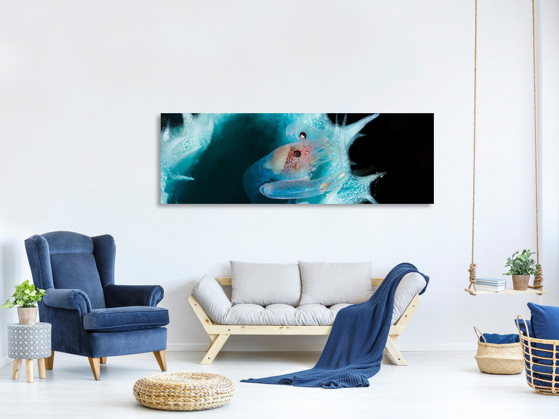 panoramic-canvas-print-shrimp-in-a-blue-sponge