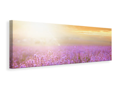 panoramic-canvas-print-sunset-in-lavender-field