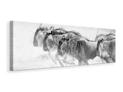 panoramic-canvas-print-unstopable