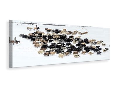 panoramic-canvas-print-yaks-in-snow
