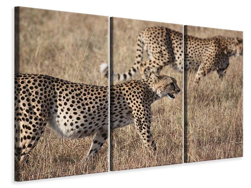 3-piece-canvas-print-2-leopards