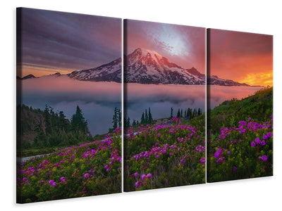 3-piece-canvas-print-a-moment-in-time