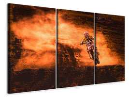 3-piece-canvas-print-above