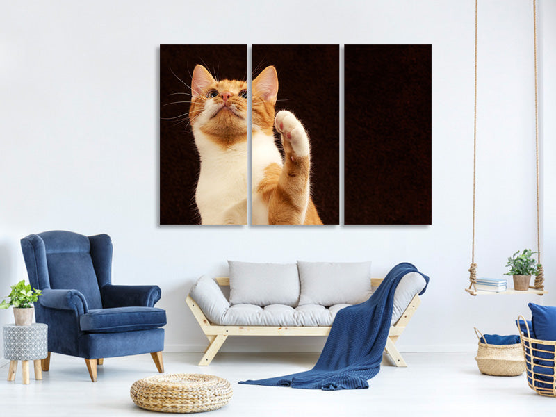3-piece-canvas-print-attention-clever-cat