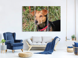 3-piece-canvas-print-attentive-dog