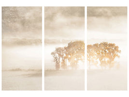 3-piece-canvas-print-autumn-dreams