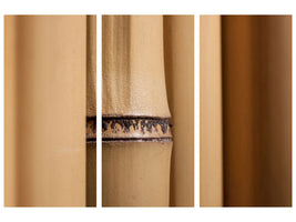 3-piece-canvas-print-bamboo-close-up