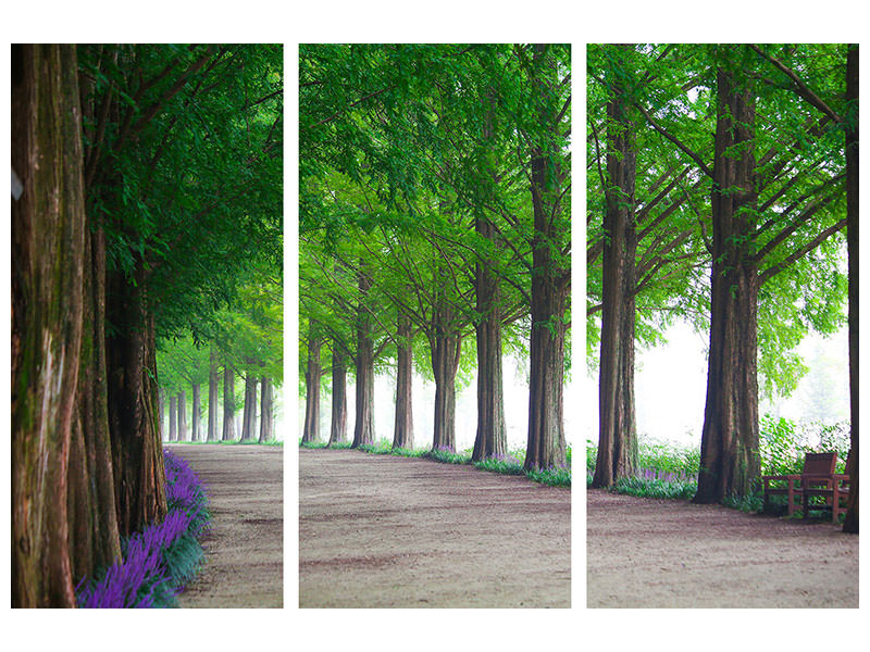 3-piece-canvas-print-beautiful-tree-avenue
