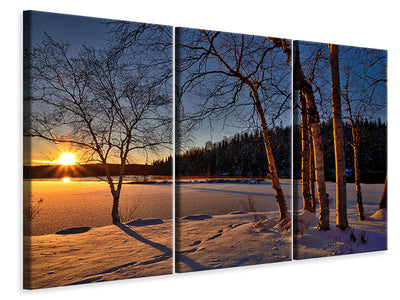 3-piece-canvas-print-birches-in-the-sunset