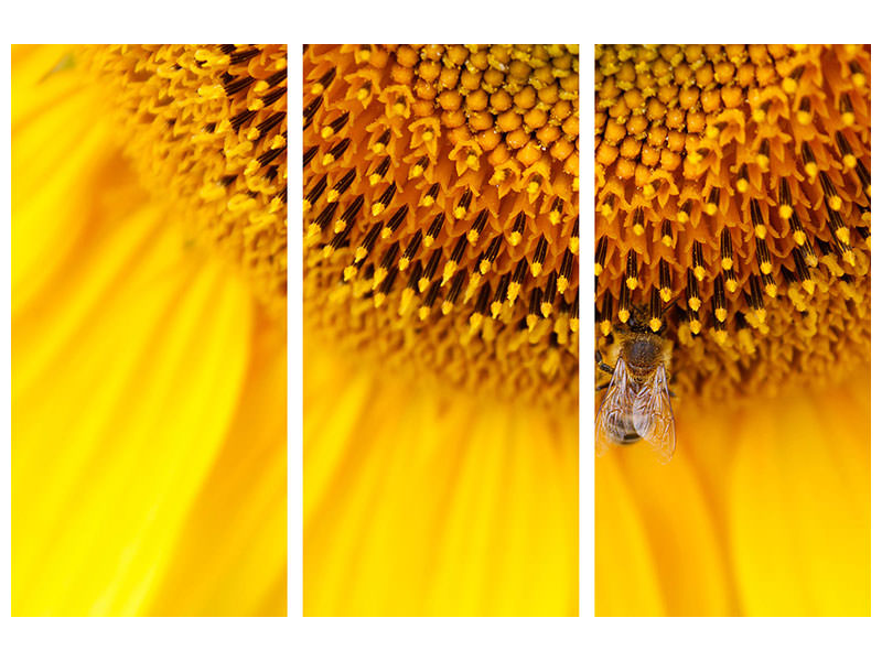 3-piece-canvas-print-close-up-yellow-bud