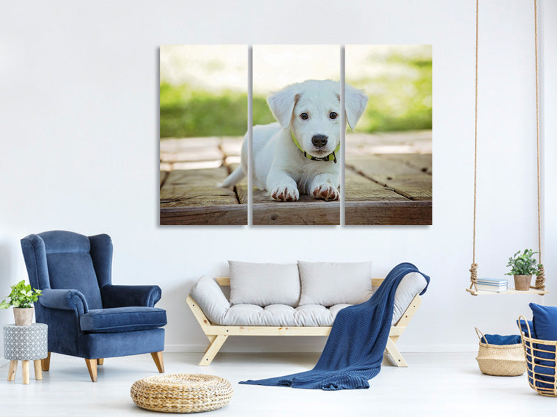 3-piece-canvas-print-cute-dog-baby