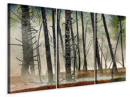 3-piece-canvas-print-dead-wood