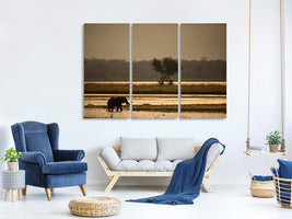 3-piece-canvas-print-elephant-alone-in-the-steppe