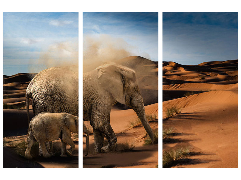 3-piece-canvas-print-elephants-in-the-desert