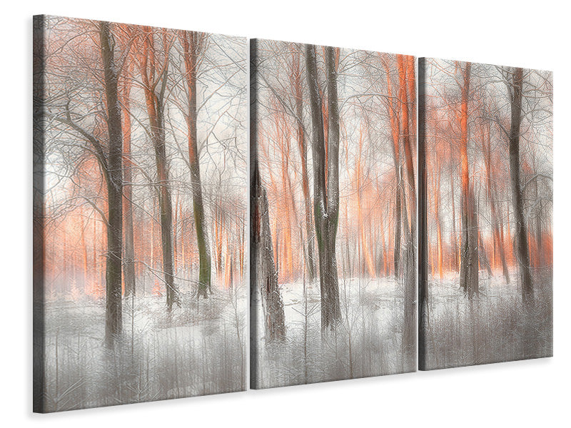 3-piece-canvas-print-evening-light