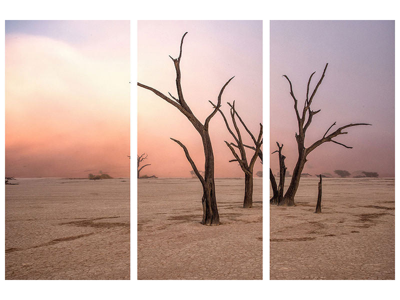 3-piece-canvas-print-fog-in-deadvlei