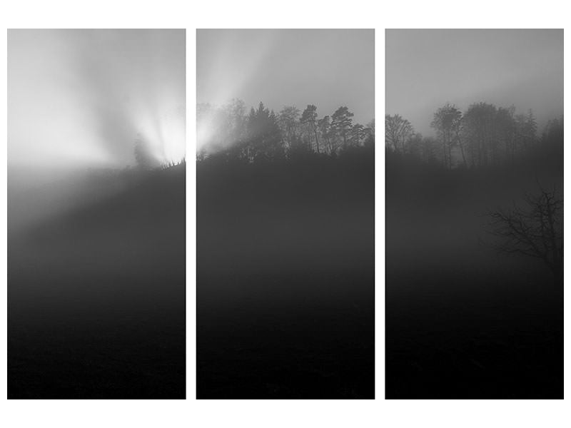 3-piece-canvas-print-foggy-and-sunny-weather