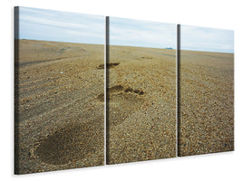 3-piece-canvas-print-footprints-xxl