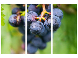 3-piece-canvas-print-grapes