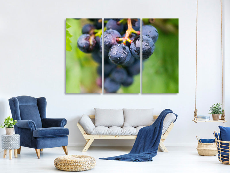 3-piece-canvas-print-grapes