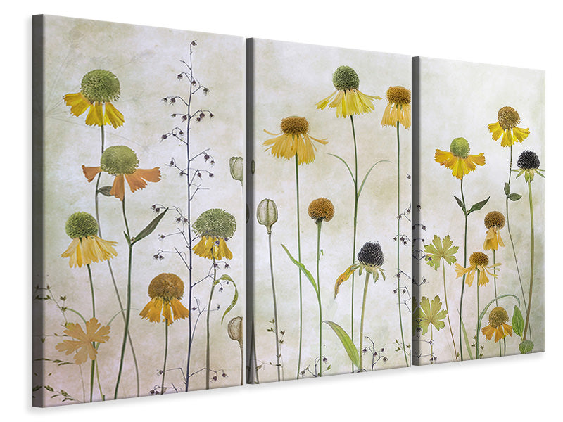 3-piece-canvas-print-helenium