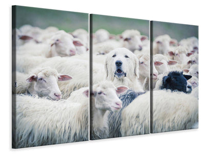 3-piece-canvas-print-in-disguise