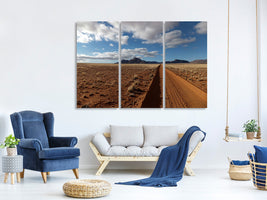 3-piece-canvas-print-in-namibia
