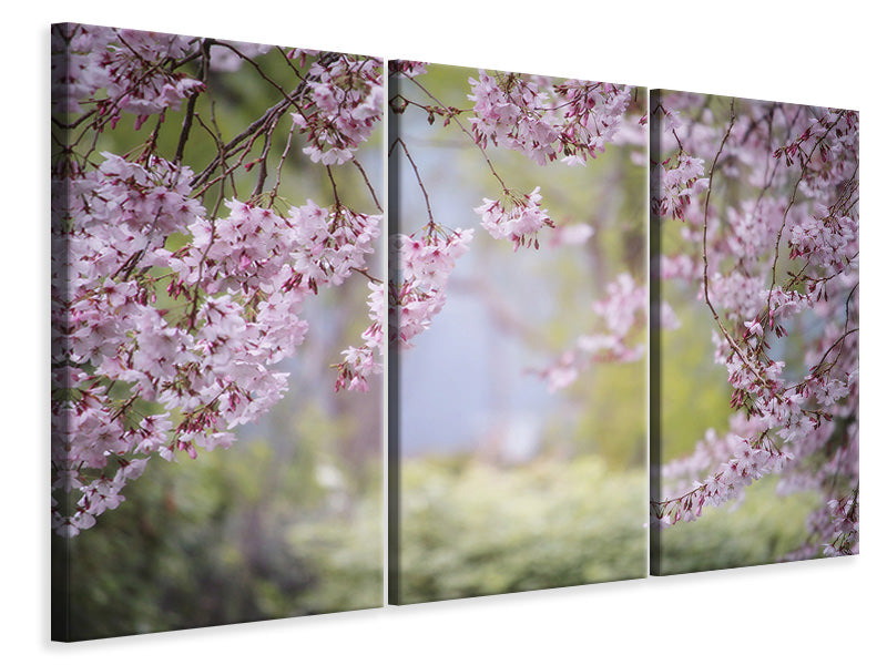 3-piece-canvas-print-in-the-beautiful-spring