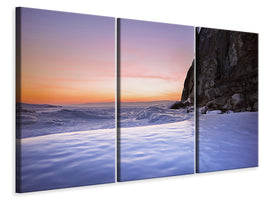 3-piece-canvas-print-in-the-ice