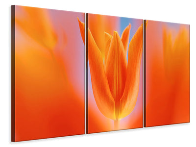 3-piece-canvas-print-kensaki-tulip