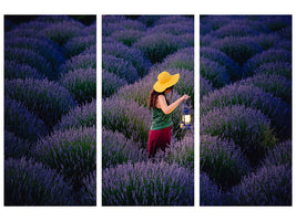 3-piece-canvas-print-lavender