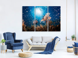 3-piece-canvas-print-lionfish-ii