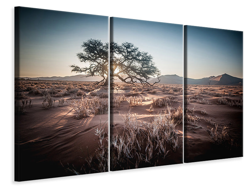 3-piece-canvas-print-longing-africa