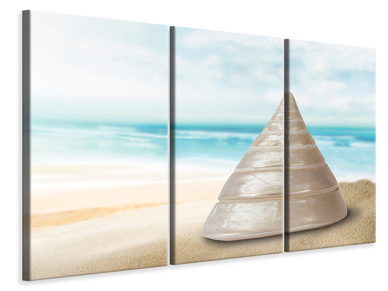 3-piece-canvas-print-marine-snail-xxl