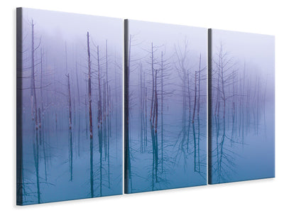3-piece-canvas-print-misty-blue-pond