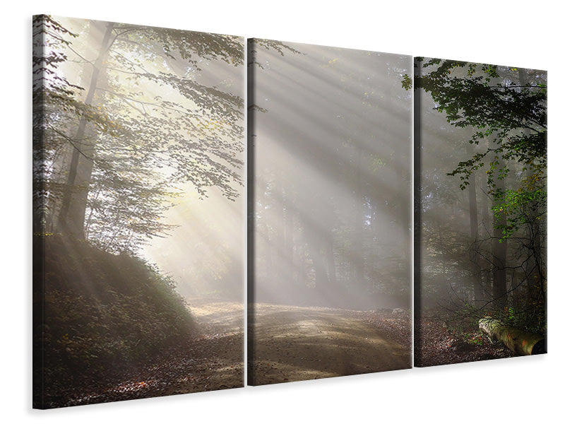 3-piece-canvas-print-mystical-light-in-the-forest