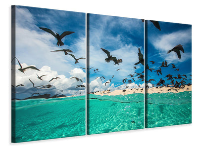 3-piece-canvas-print-ocean-bird