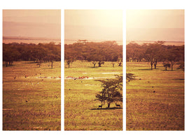 3-piece-canvas-print-picturesque-africa