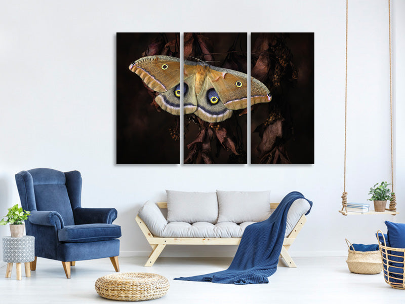 3-piece-canvas-print-polyphemus