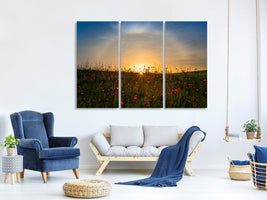 3-piece-canvas-print-red-poppies-and-sunrise