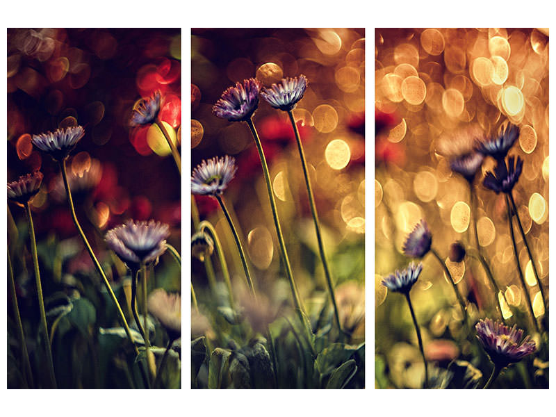 3-piece-canvas-print-summer-flowers