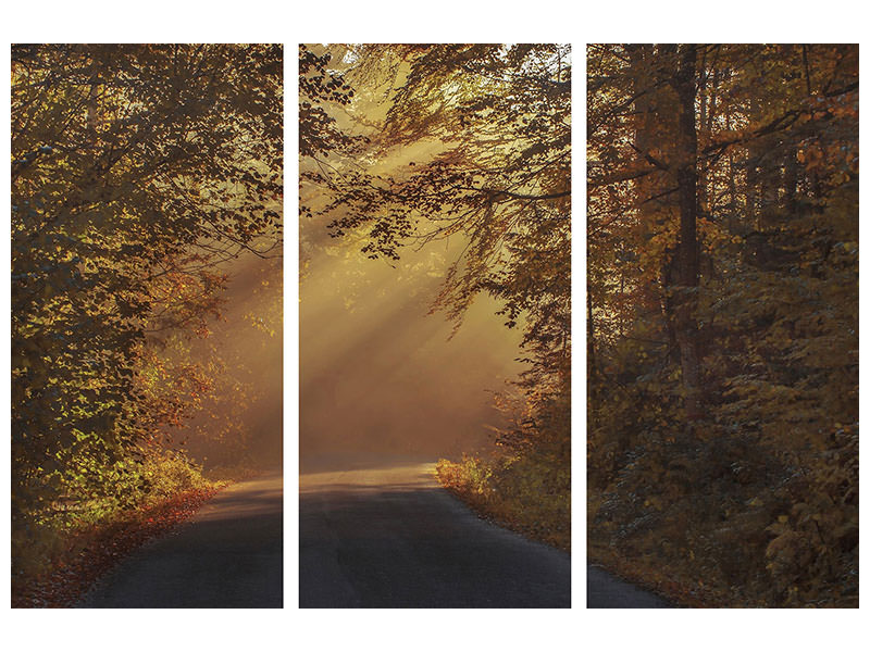3-piece-canvas-print-sunbeams-in-the-forest