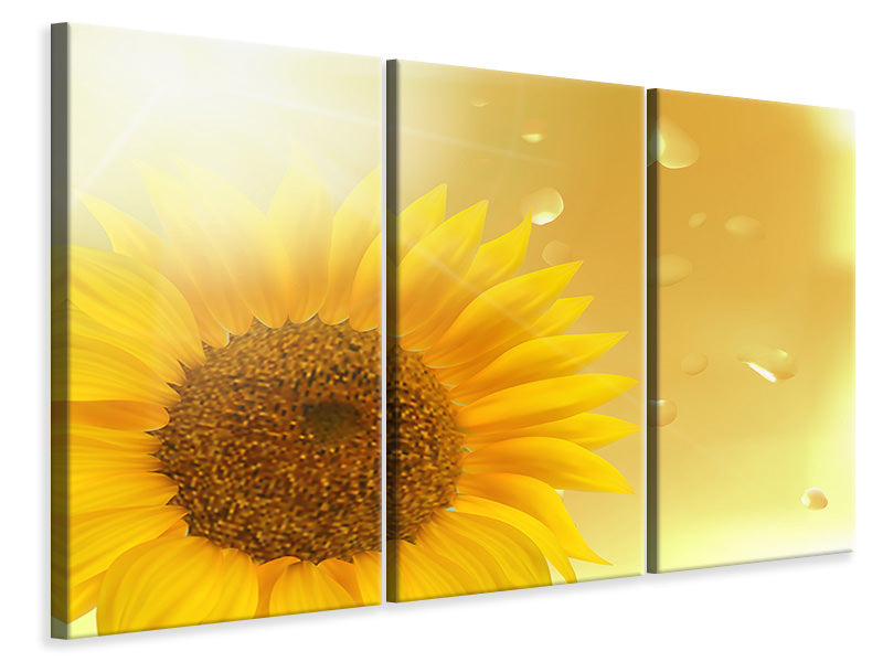 3-piece-canvas-print-sunflower-in-morning-dew