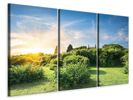 3-piece-canvas-print-sunrise-in-the-park