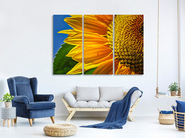 3-piece-canvas-print-the-bud-close-up