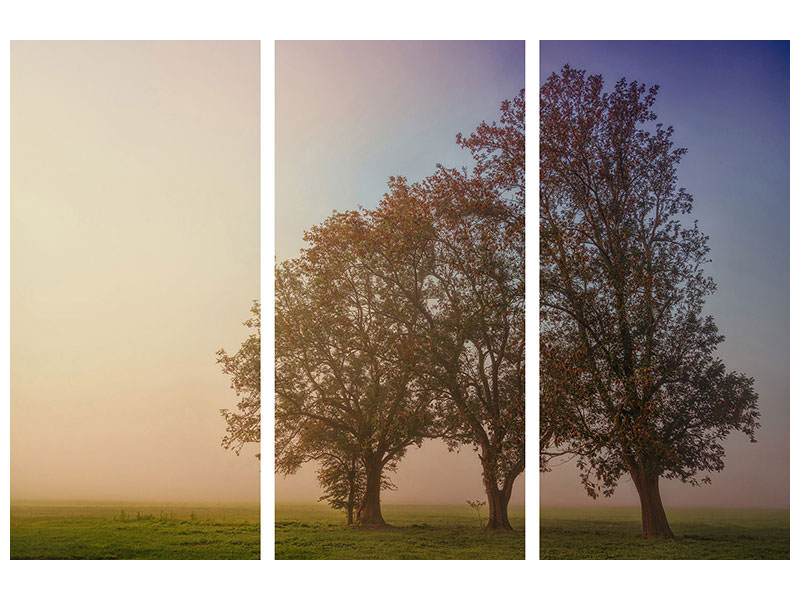 3-piece-canvas-print-the-crooked-tree