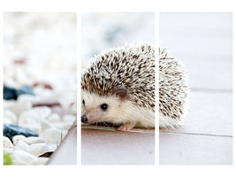 3-piece-canvas-print-the-hedgehog-baby